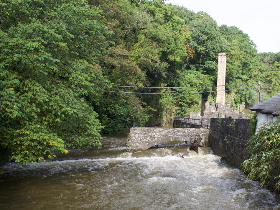 Green trees on the left overhang a muddy-brown river, with a half-collapsed bridge and structure on the right.